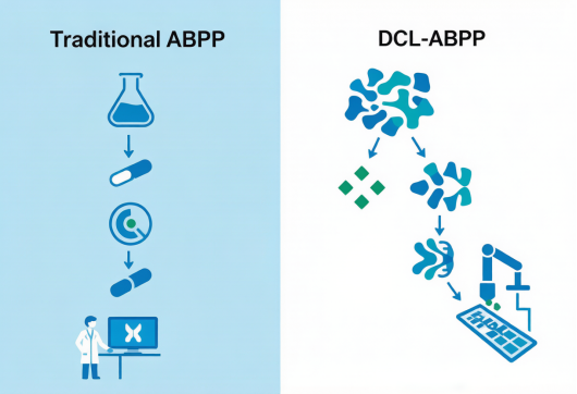 Nature Communications(IF=15.7)| DCL-ABPP"库对蛋白质组"高通量筛选 —— 共价配体发现从"逐一验证"到"批量筛选"的范式革命